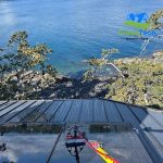 DIY Roof Cleaning Risks You Should Know About