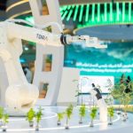 What Makes An Exhibition Company Truly Stand Out In A Crowded Market